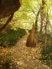 PICTURES/Oak Creek Canyon In October/t_Golden Path1.jpg